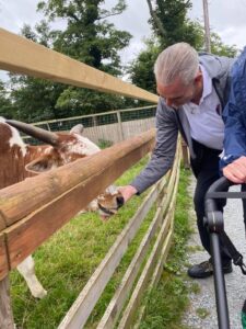 A man is feeding a cow